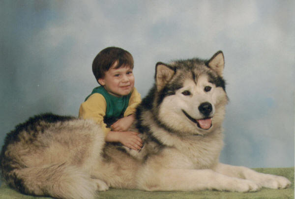 Shandael's Grey Brecht